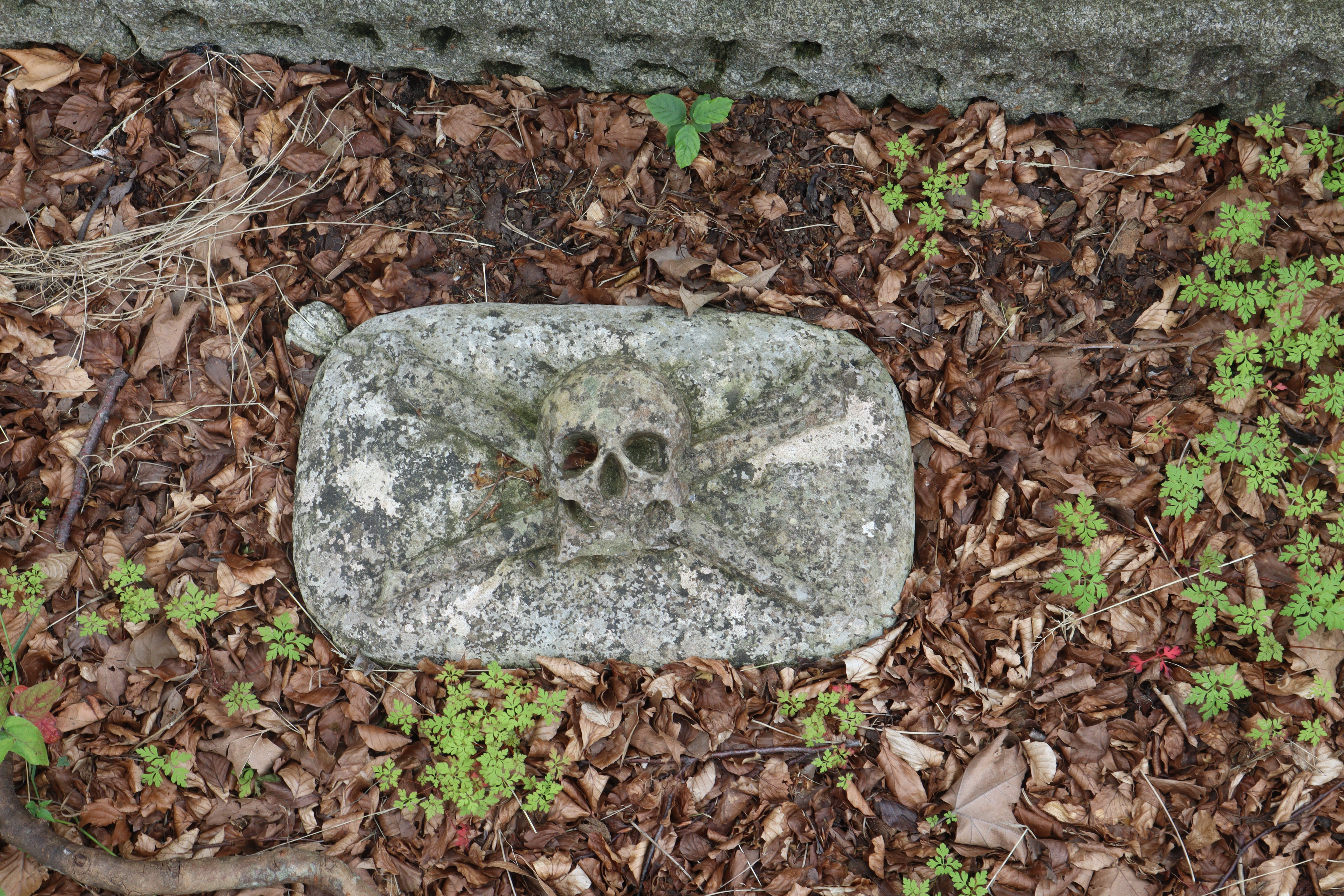 Dead Interesting Tour